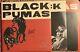 Adrian Quesada Autographed Signed Black Pumas Deluxe Vinyl Record Album Proof