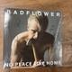 Badflower Rock Signed Autographed By Band No Place Like Home New Vinyl Record