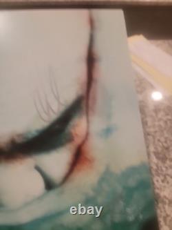 Disturbed signed vinyl