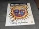 Eric Wilson Signed Sublime 40oz. To Freedom Vinyl Record Album Lp Jsa Coa