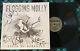 Flogging Molly Autographed Speed Of Darkness Vinyl Lp Signed Record Dave King