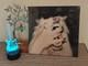 Porch Light Hush Vinyl Record Lp Signed Cover