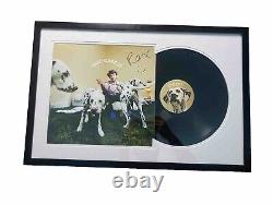 Rex Orange County signed autographed framed who cares vinyl record beckett COA