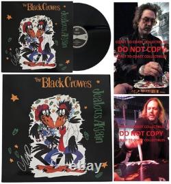The Black Crowes Signed Jealous Again Album COA Proof Autographed Vinyl Record