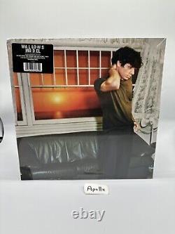 WALLOWS'MODEL' Vinyl LP Exclusive AUTOGRAPHED BRAEDEN Edition + 7 SHIPS NOW