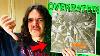10 Albums Super Rares Et Co&ucirc;teux Qui Ne Valent Pas Le Coup