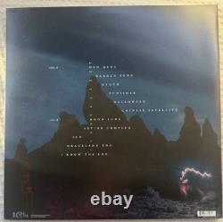 Album Vinyle Autographe de Phoebe Bridgers 'Punisher' - Objet de Collection Musical