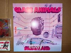 Animaux En Verre Signés Autographied Vinyl Record Lp CD Cassette Combo Dreamland