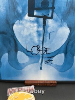 DISQUE VINYLE SIGNÉ Lorde Virgin LP DISQUE VINYLE NOIR SIGNÉ DOUBLE AUTOGRAPHE VARIANTE RARE B