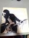Disque Vinyle Sign&eacute; Et Autographi&eacute; De Bruce Springsteen, Born To Run