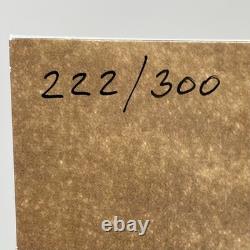 Jace Cameron SIGNÉ #222/500 Sun Child Deluxe + 10 vinyles Vertigo en forme de soleil