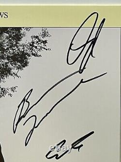 Nouveau Wallows Dis-moi que c'est fini Vinyle Jaune SIGNÉ Jaquette AUTOGRAPHIEE