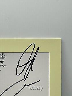 Nouveau Wallows Dis-moi que c'est fini Vinyle Jaune SIGNÉ Jaquette AUTOGRAPHIEE