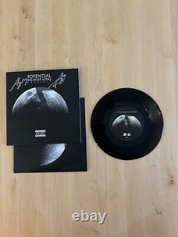 Song De Rupture Potentielle Vinyl Aly & Aj Autographe