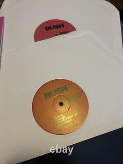 Vinyle chargé de Bush signé plus grands succès double disque VIP 2024, affiche, etc.