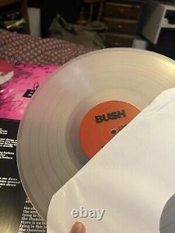 Vinyle chargé de Bush signé plus grands succès double disque VIP 2024, affiche, etc.