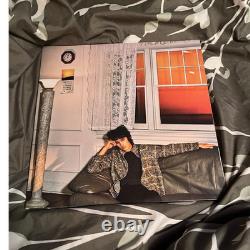 Wallows Modèle Disque vinyle Cole Preston Couverture alternative. Insert signé